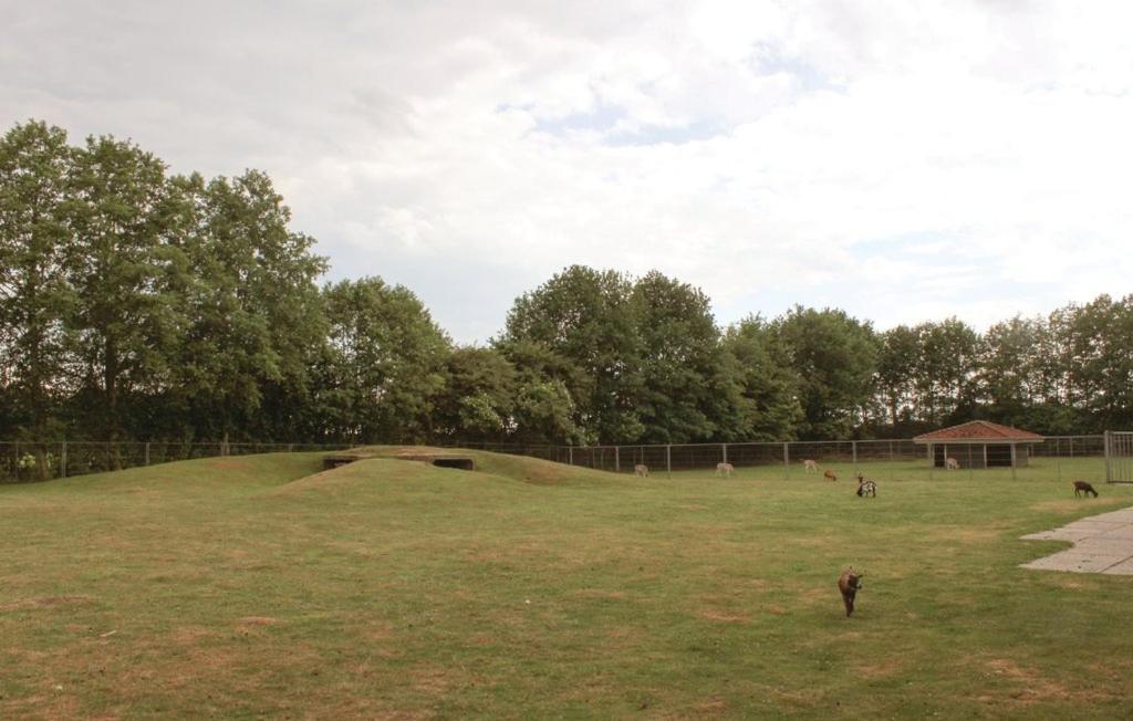 Het Familie Boshuisje - Vakantiewoning Op Prachtig Park Met Veel Faciliteiten Inc Ligbad Gramsbergen Luaran gambar